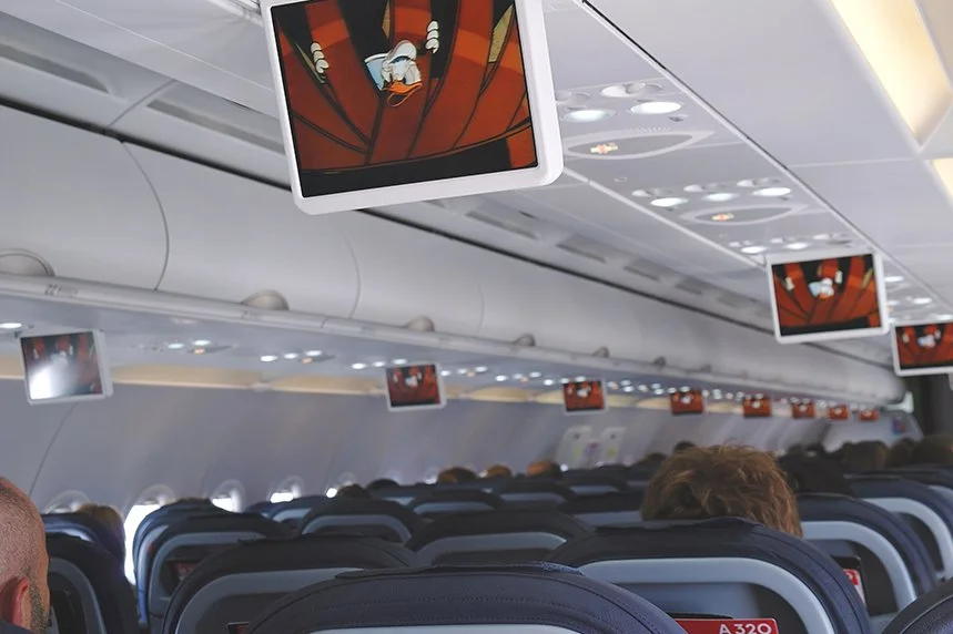 Angry Ducks On A Plane