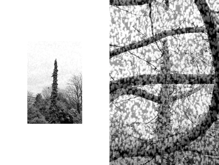 I-Noise 13.jpg