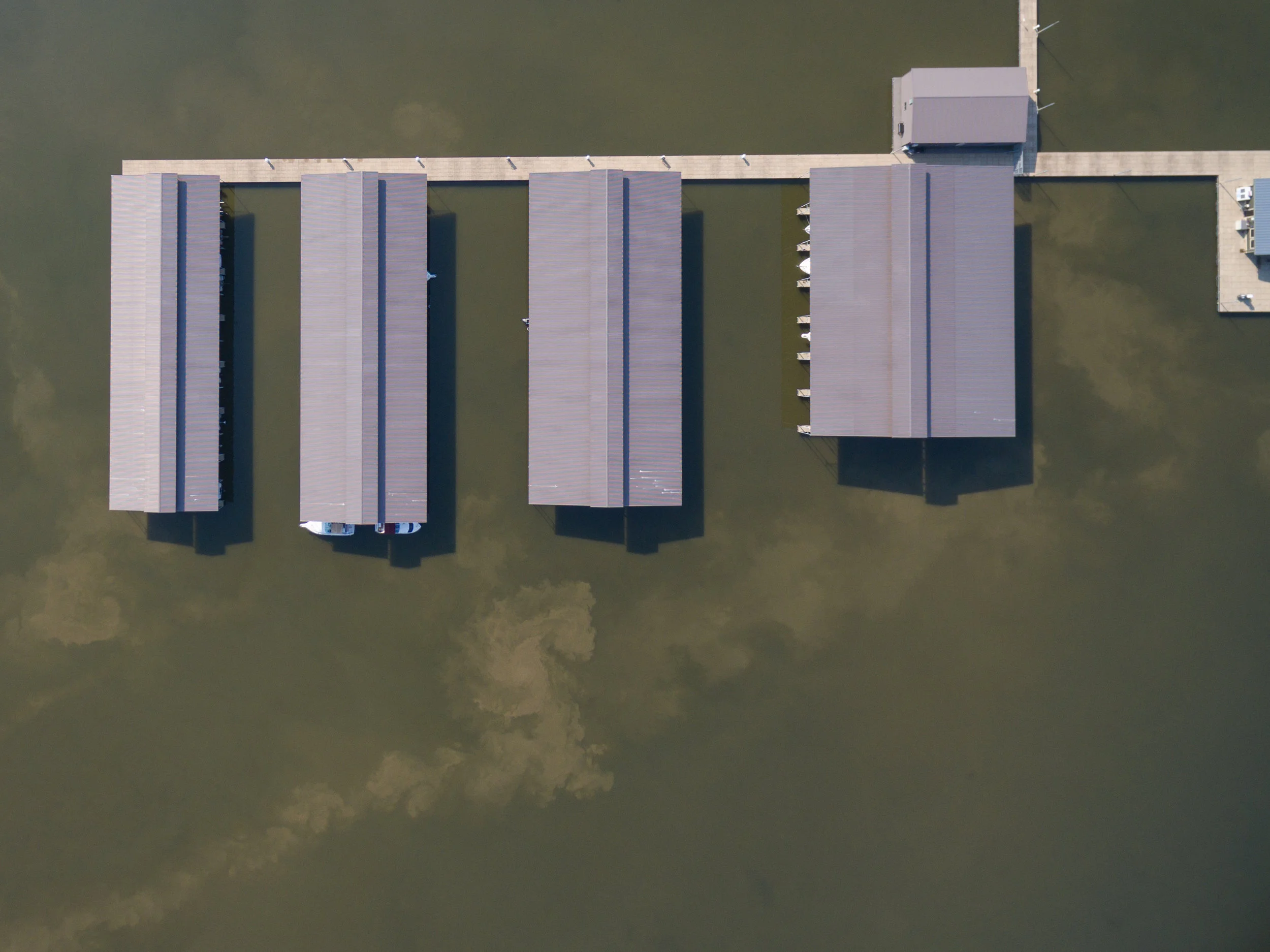 I Love that Dirty Water