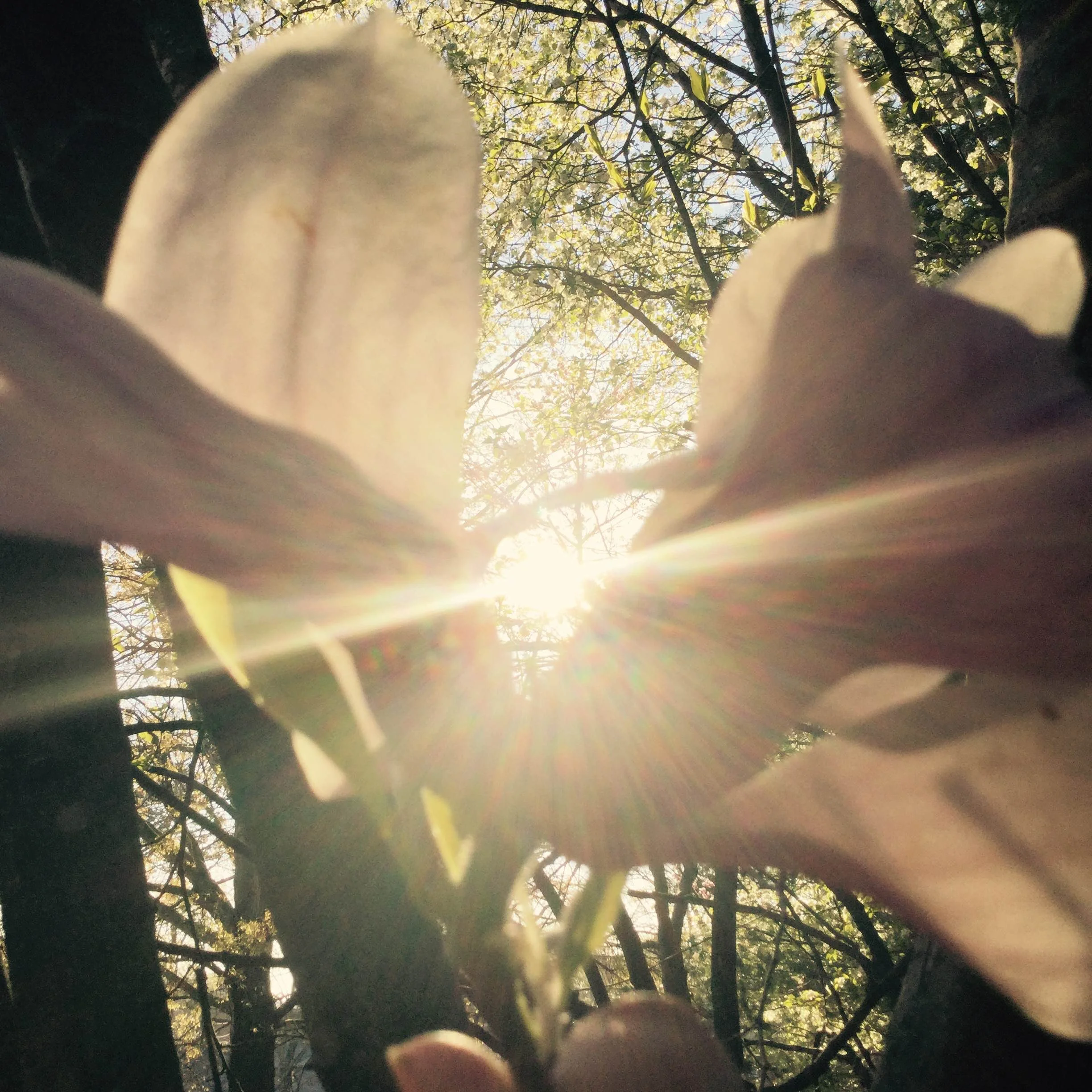 Photo credit: Jasmyne Simpkins