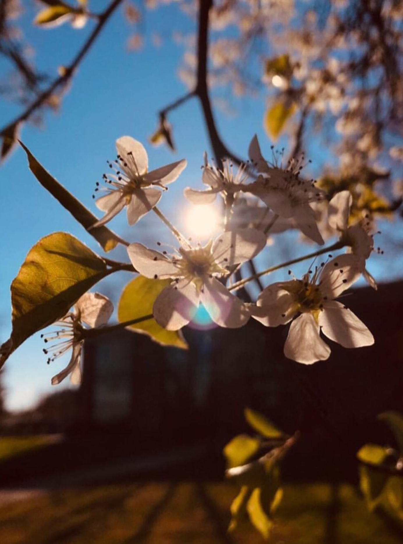 Photo credit: Jasmyne S.