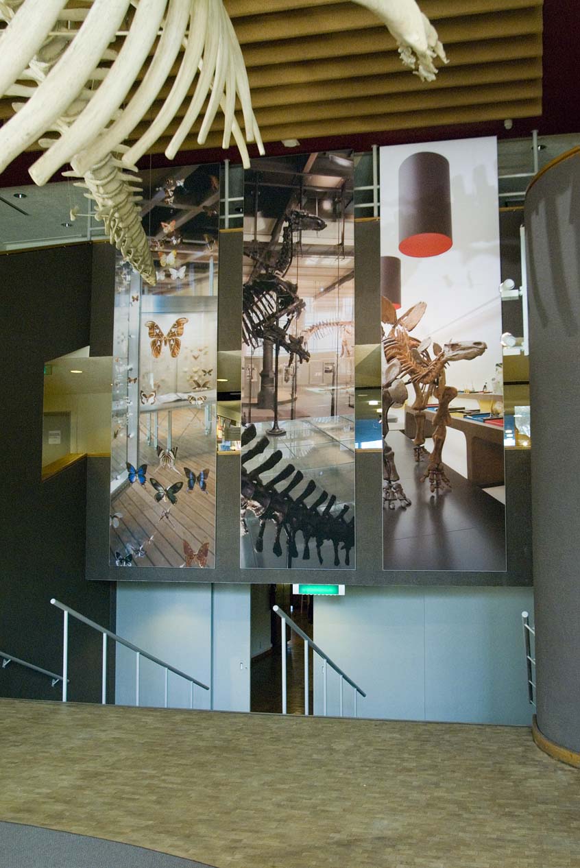 dinomuseum 006.jpg