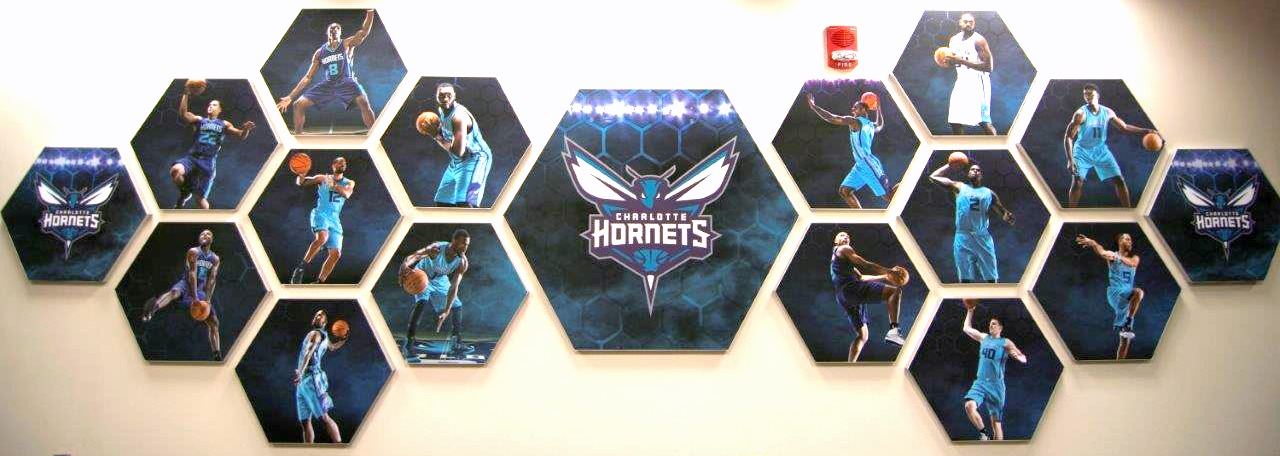 Matrix Frame - Charlotte Hornets Honeycomb Players Wall