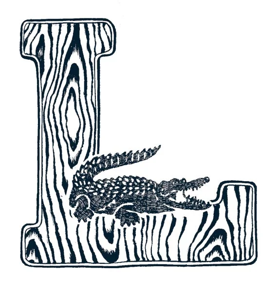 croco.jpg
