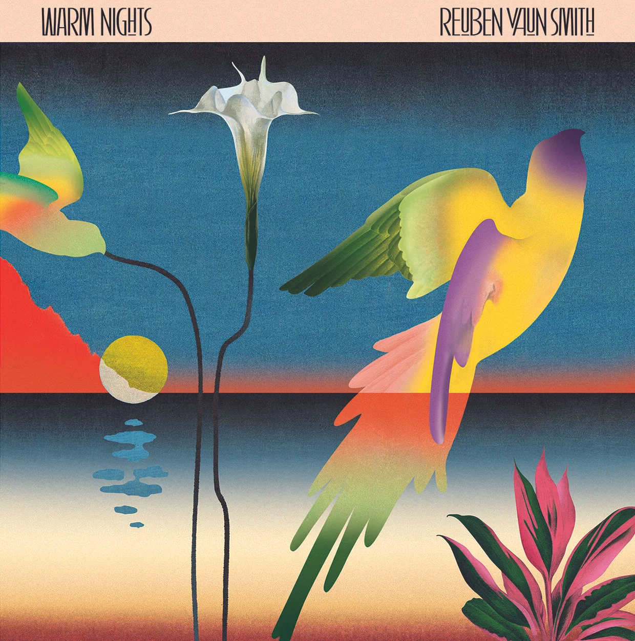 WARM-NIGHTS-REUBEN-VAUN-SMITH.jpg