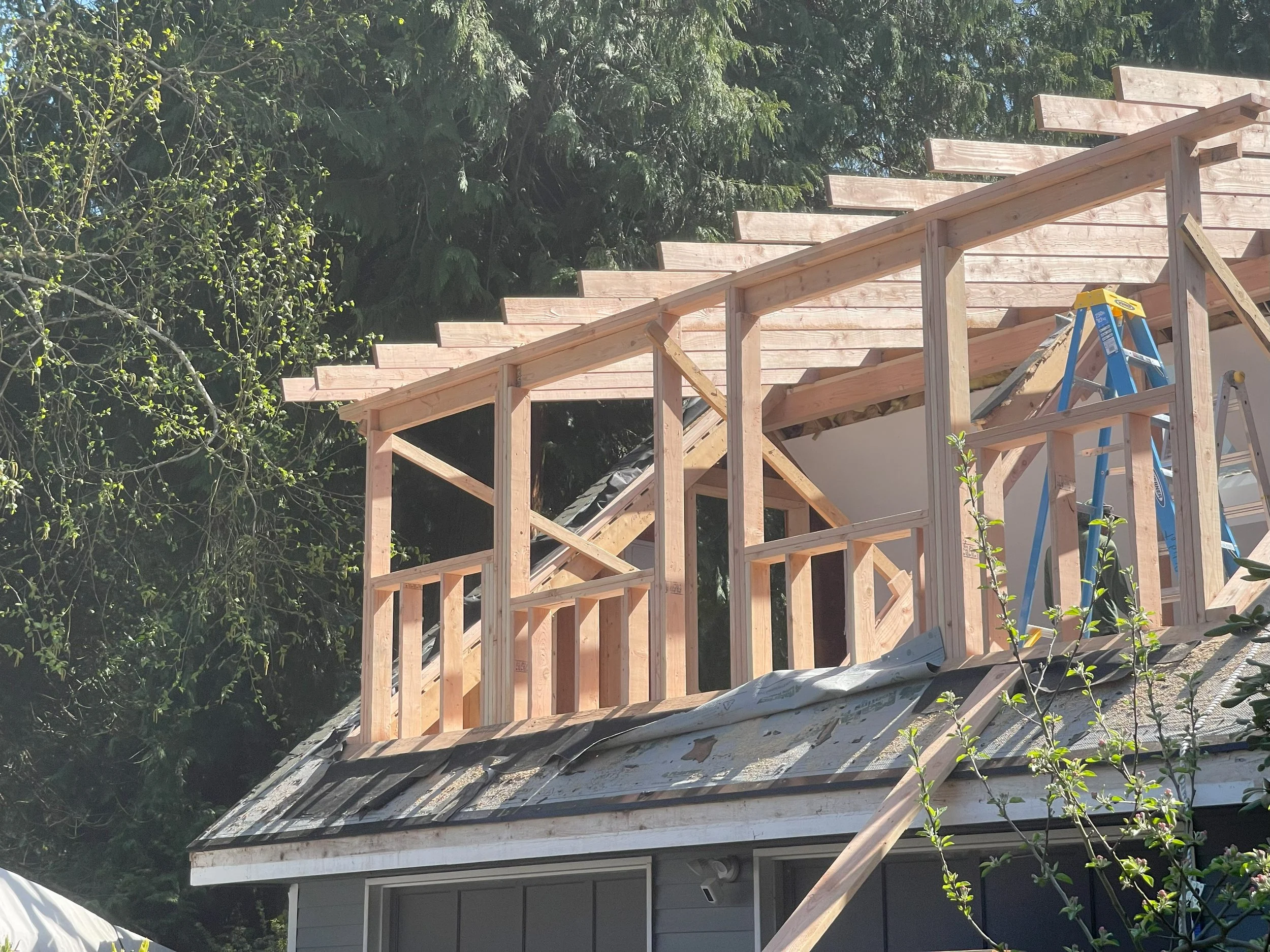 Tyler dormer framing.jpg