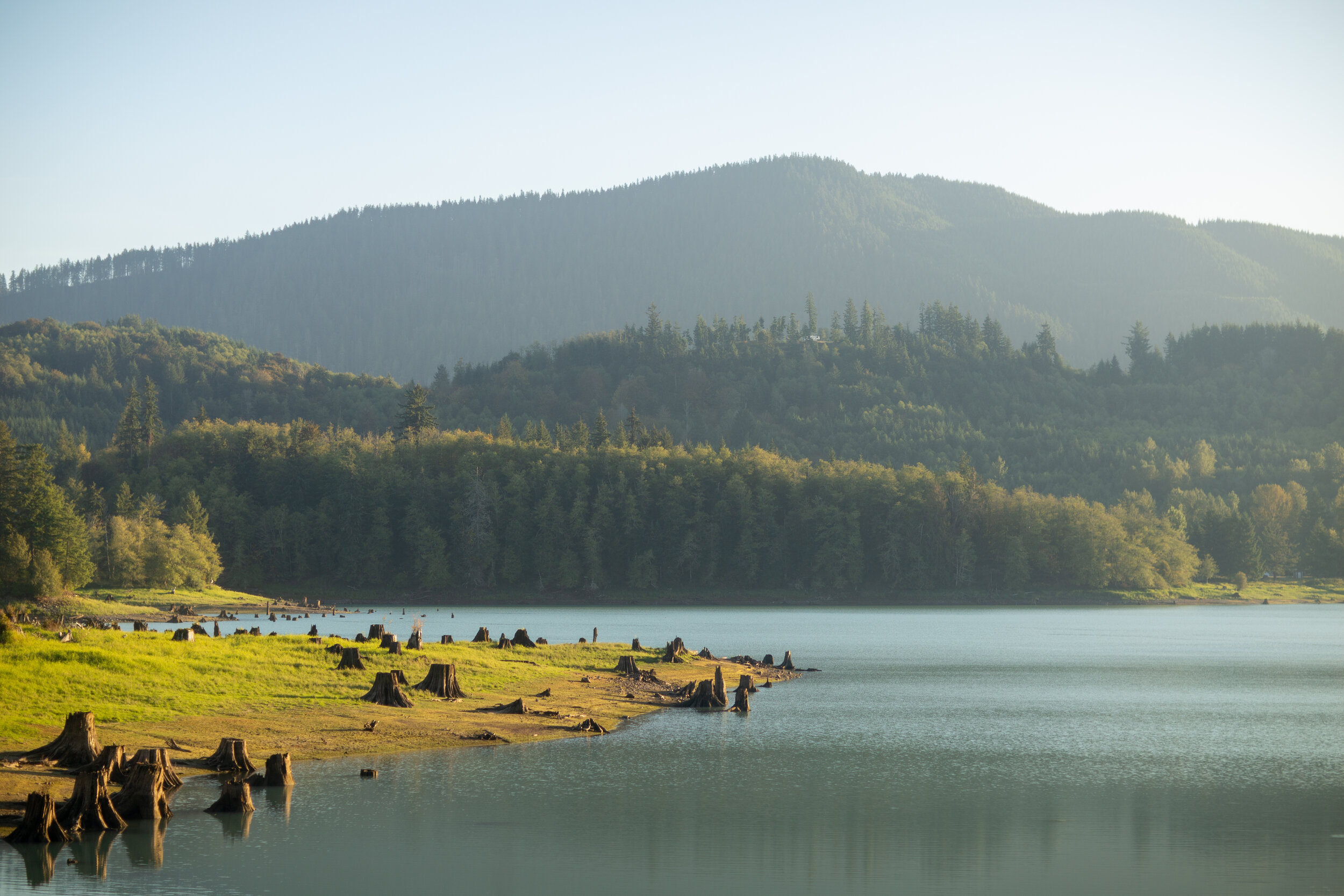 Tacoma-Mount Rainier "Trail of Trails" Tour 2021