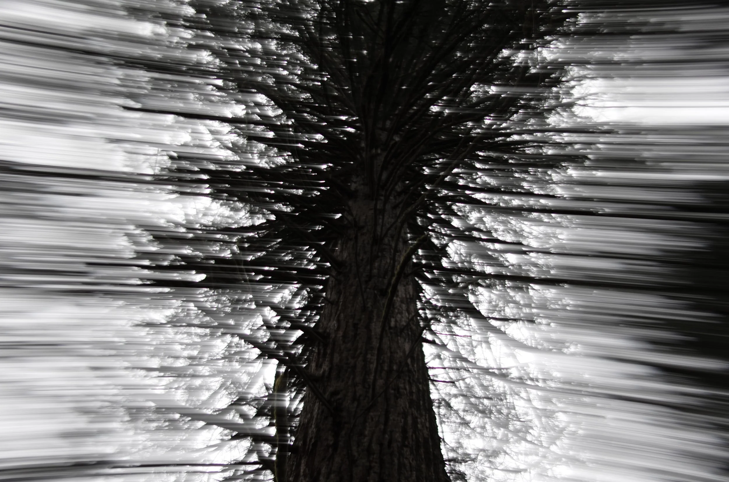 Leach Botanical Garden, 1 of 2