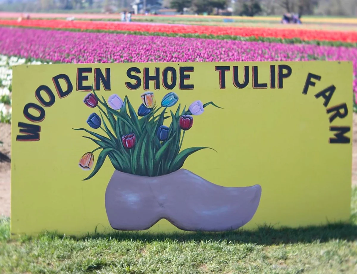 Wooden Shoe Tulip Fest 2026