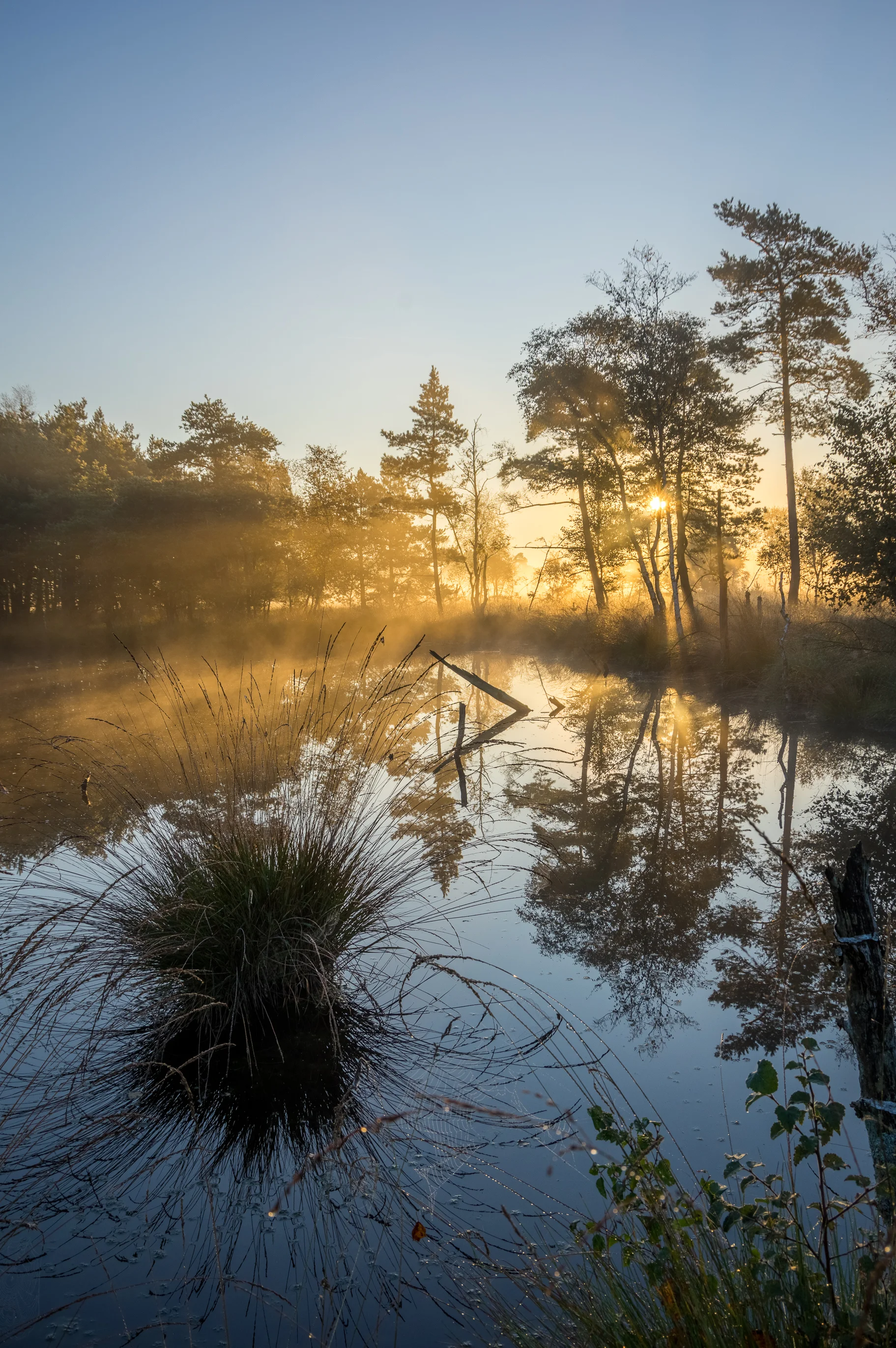 Sonnenaufgang im Pietzmoor