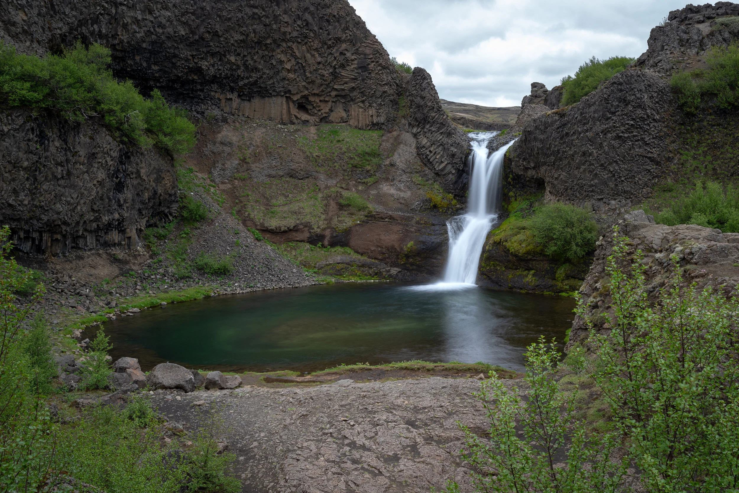_IMG1660.jpg