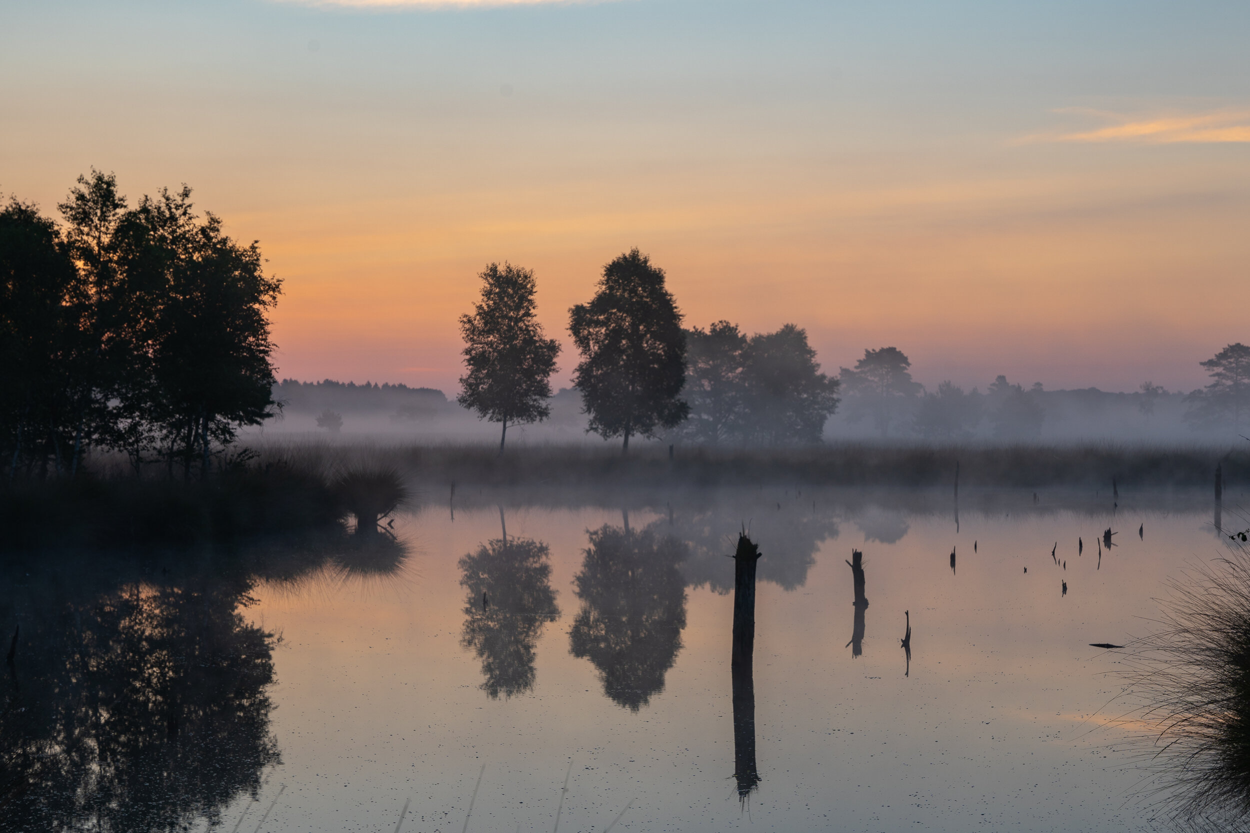 Stiller Morgen im Pietzmoor