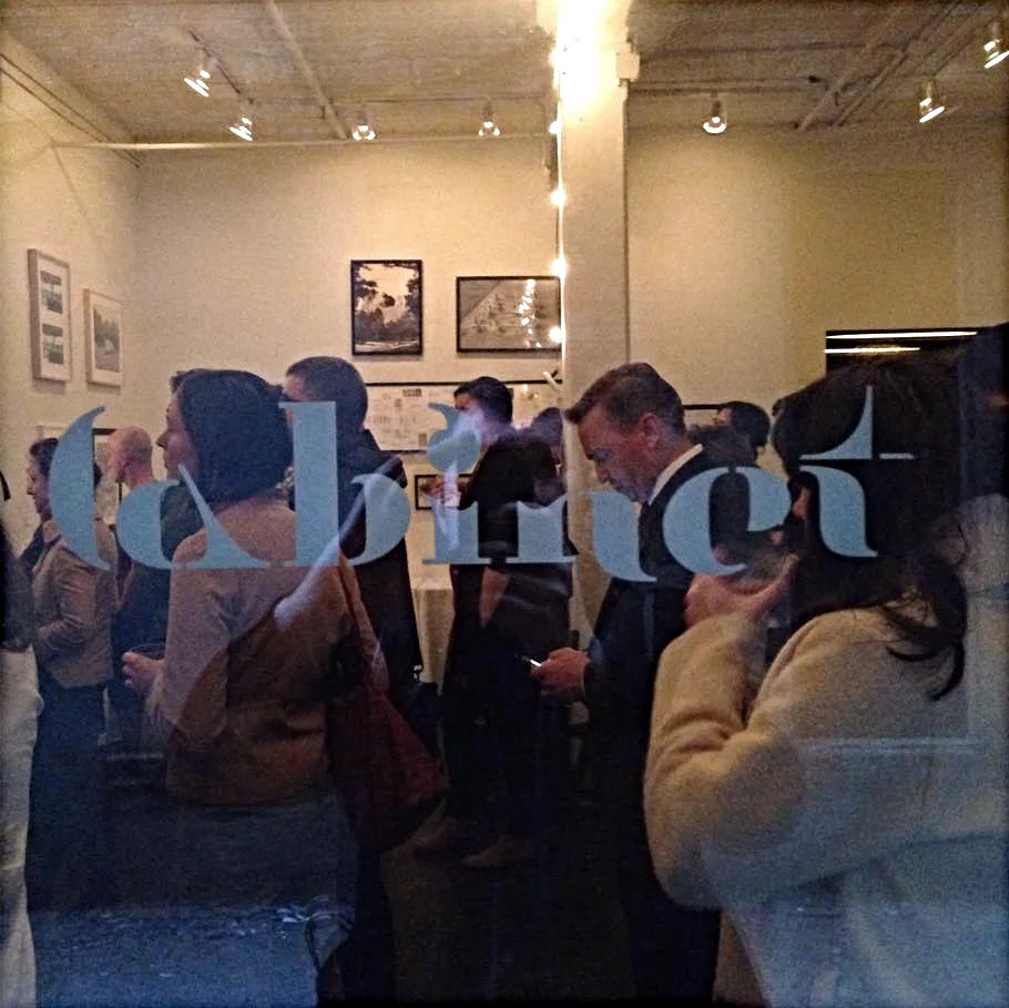 Book Launch, Community Bookstore & Cabinet Magazine Brooklyn, NY June 4, 2015