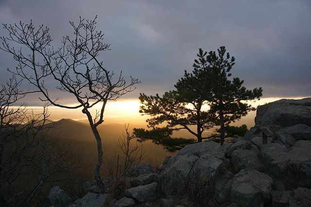 Sometimes you just need to find your happy place. #wishiwashiking #happyplace #greettheoutdoors #girloutdoors #sunrise #mountainview #daretolivegnar #treetops #clouds