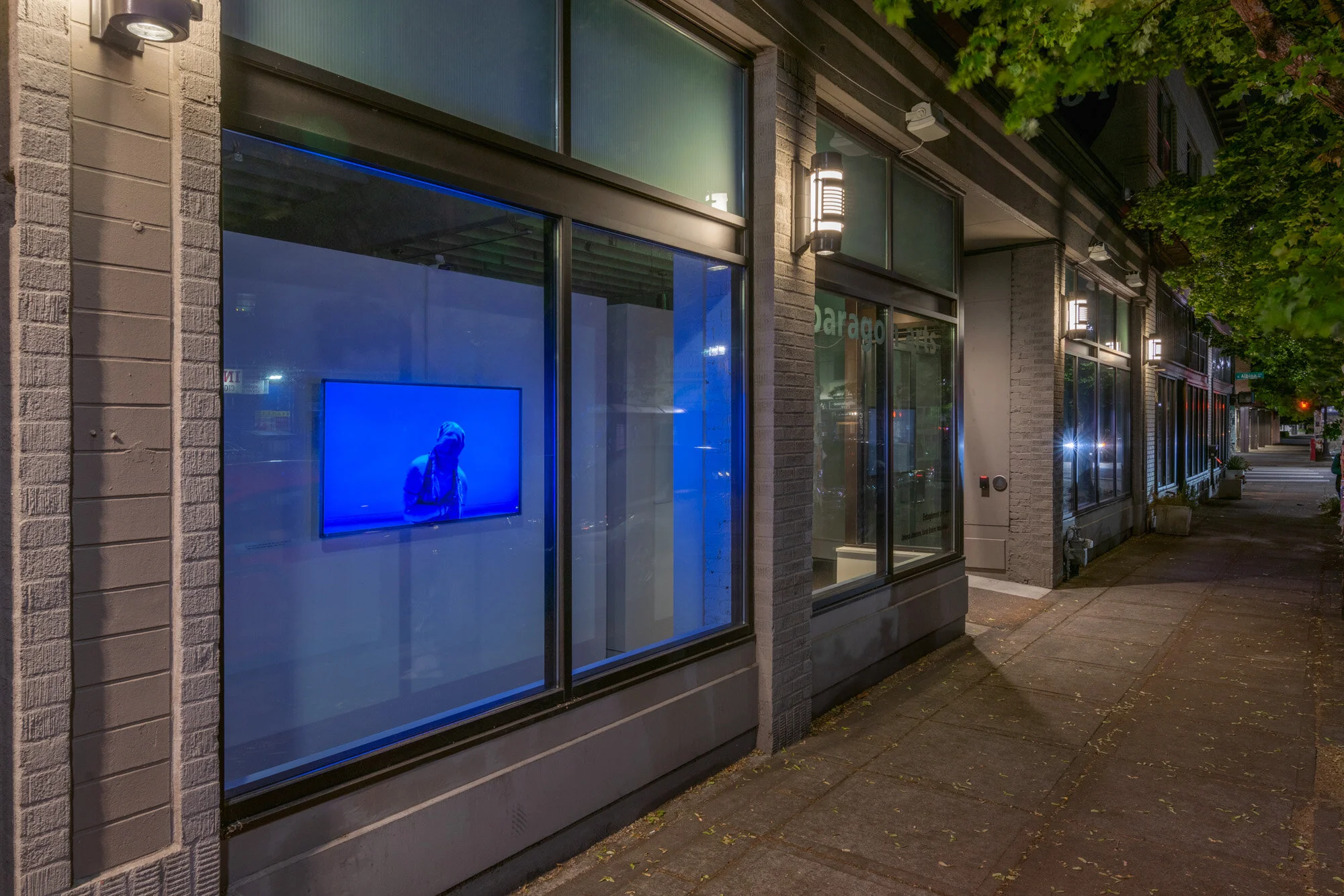 "Entanglement at Night"