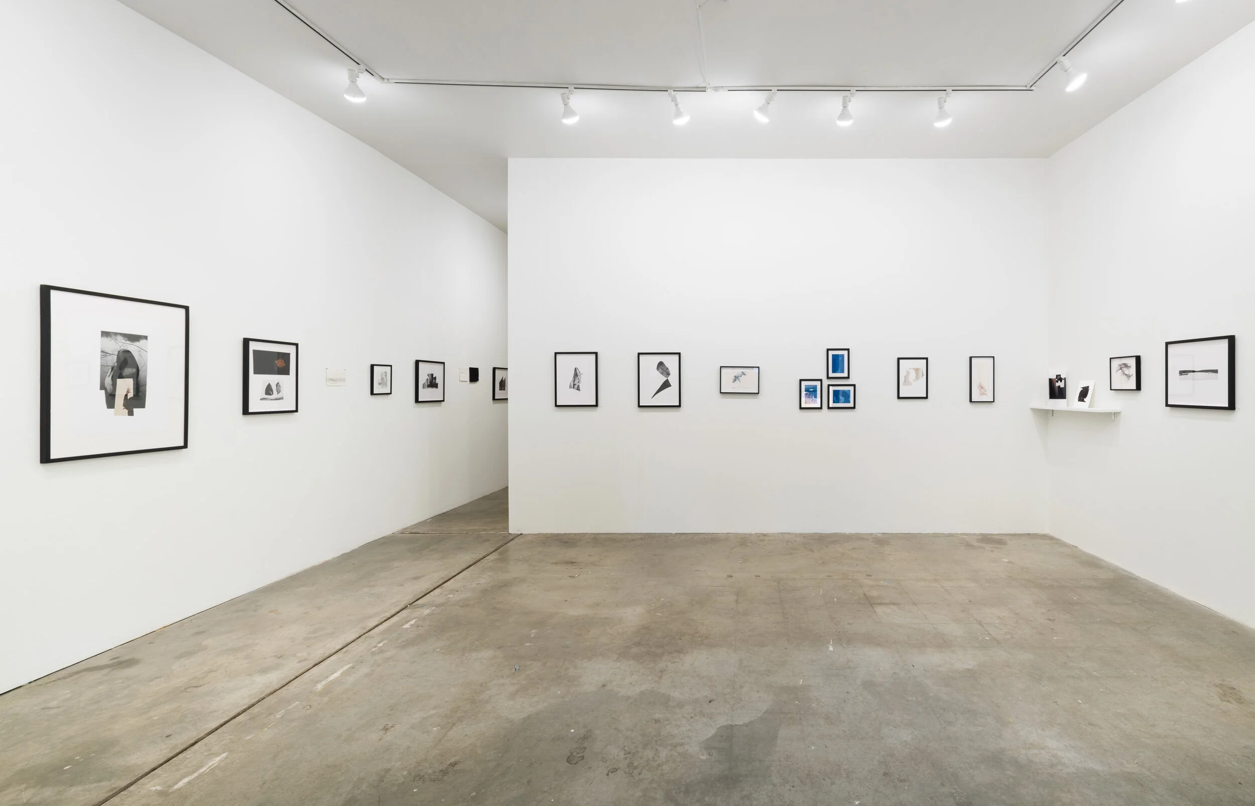 Alyson Provax and Serrah Russell, "But of course it’s hard to tell"