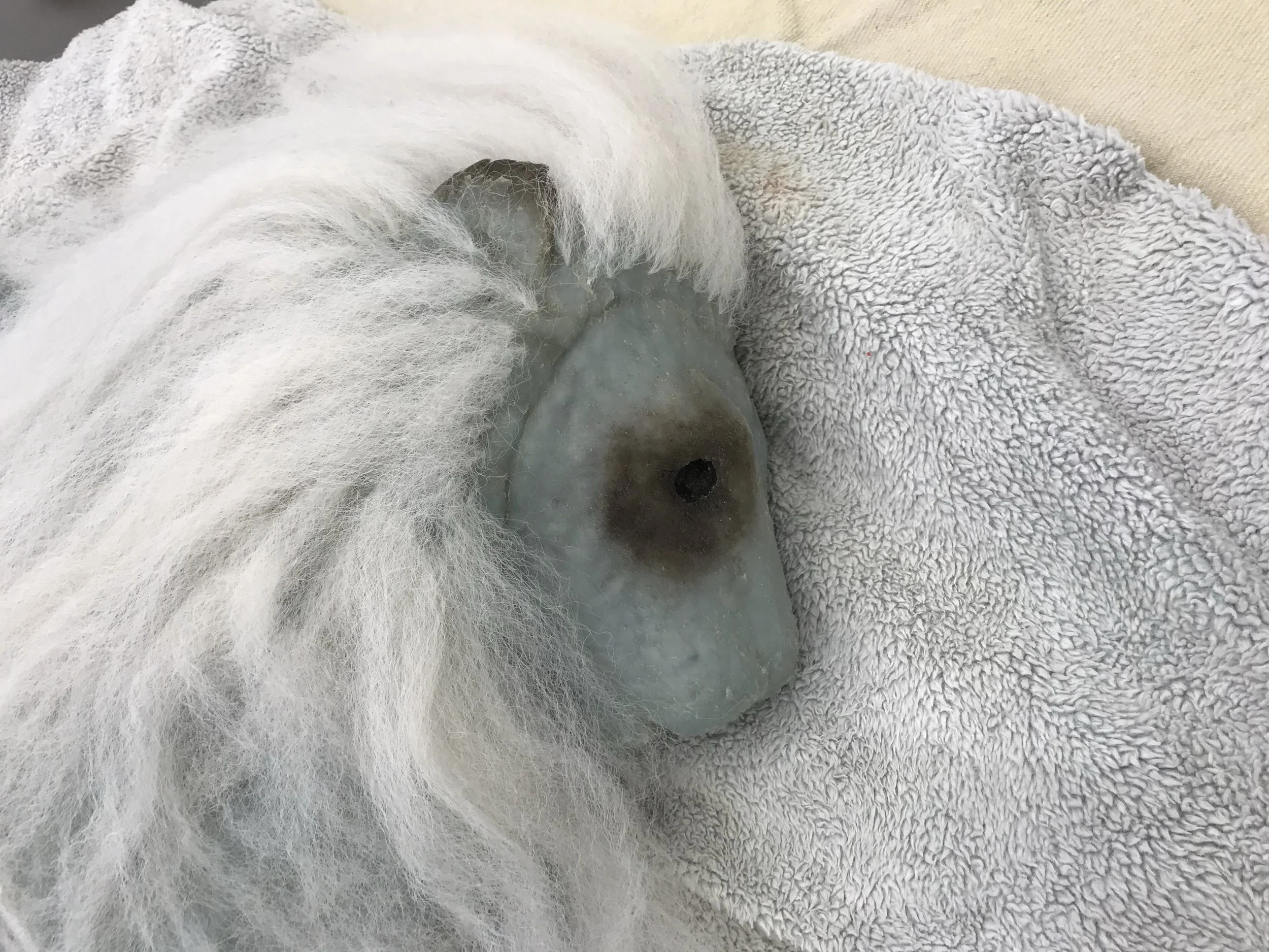 University of Oregon Spring 2022 Visiting Artist Lecture Series