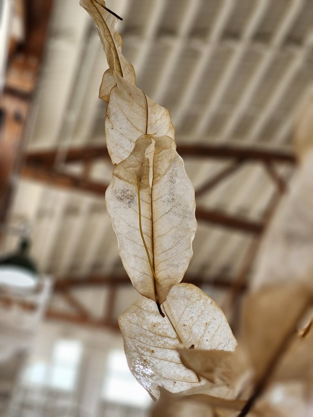Terrain, a land art experience 🍂 taking place August 15, 16, 17, 22, 23, 24, 2025 at 📍Building 5 in the industrial northwest of Portland, OR. 
🎟️ Public exhibition tickets on a sliding scale may be purchased here. All proceeds will be split among 