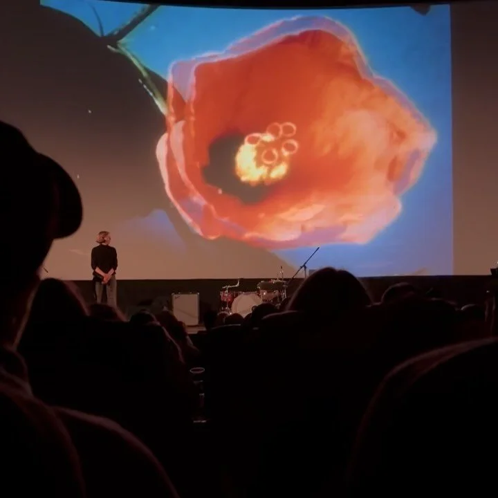 Packed house for @mississippistudios “A People’s History of North American Music” at @hollywoodtheatr last night. 🔥🎸🎶🌎 Featuring performances by Kornbread and Toody Cole!! And pre-show steel guitar by Barry Walker Jr. ✨✨✨