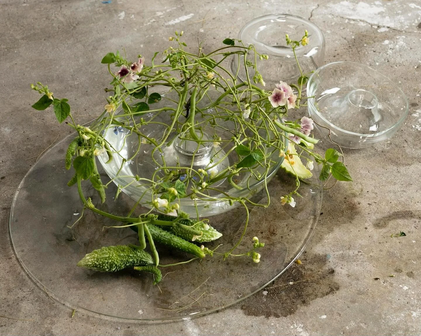 Uncertainty surrounds the holding of things, curated by Bella Feinstein and Olivia Miller
📍 after/time collective, 735 SW 9th #110, Portland 
🗓️ Nov 14 &ndash; Dec 21, 2025
✨Opening reception Friday, November 14, 2025 6-9 pm
⏳ Hours: Tues &amp; Thu