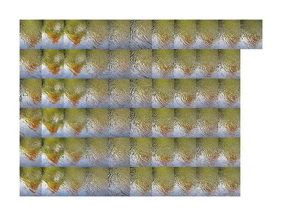 At @gallery114 this November 🍂

🕰️Passing Time, Sally Finch and Phil Harris (South gallery)
🗣️Artist talk with Sally &amp; Phil, Nov 8, 11 a.m.-12 p.m.
☄️Collective,&nbsp;by Donald Dahlke (North gallery)
🗓️Nov 6-29, 2025
✨First Thursday Opening, 