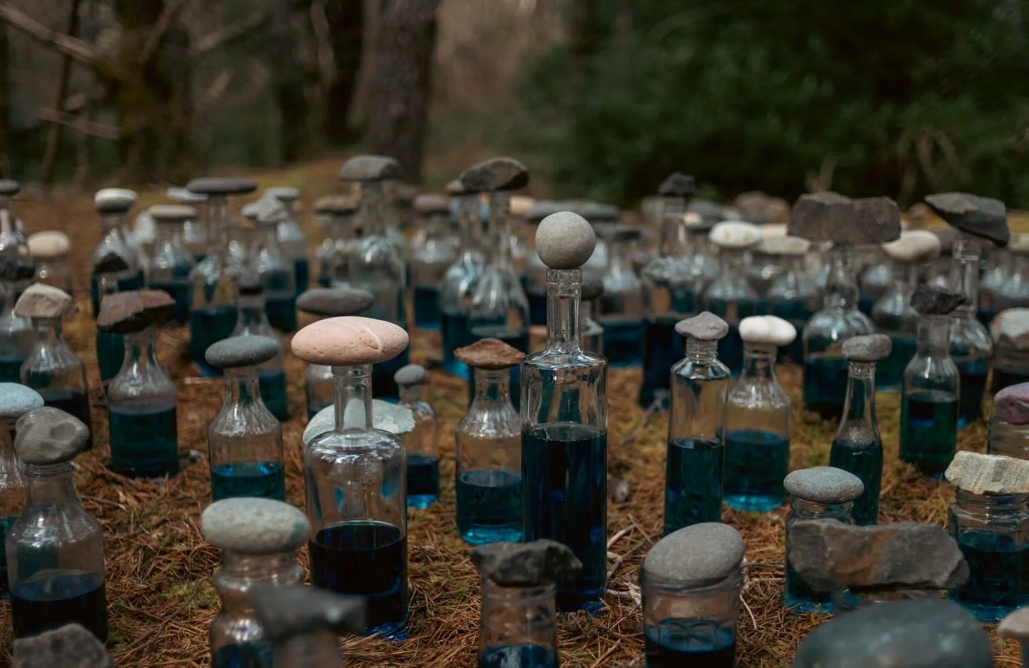 Sou&rsquo;wester Arts Week 2026: The Space Between
📍 The Sou&rsquo;wester Lodge 3728 J Pl, Seaview, WA
🗓️ March 8-16, 2026
✨Opening reception March 13, 2026 from 6-10pm
🆓 to the public

Every March, the Sou&rsquo;wester hosts over 30 artists and c