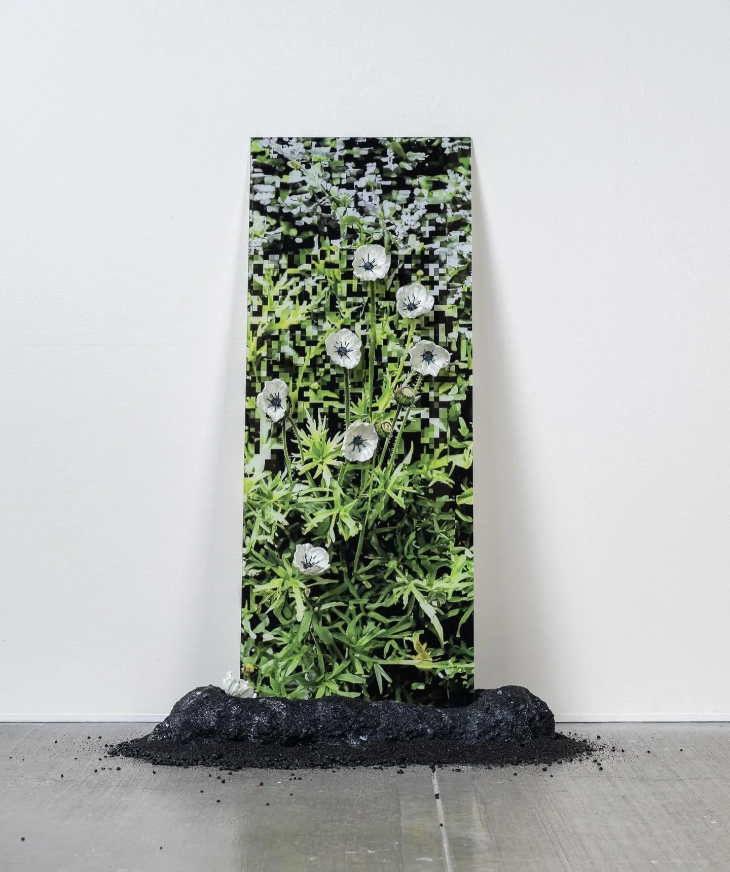 Panel discussion: January 17, 2026 from 12-1 pm related to Neural-Lithic Harvests exhibition by Hannah Newman
📍North View Gallery, 12000 SW 49th, Portland, Oregon
🗓️ ✨Extended January 27, 2026
⏳ Hours: Mon - Fri 8- 4 pm, Saturday 1/17 from 12-4pm 
