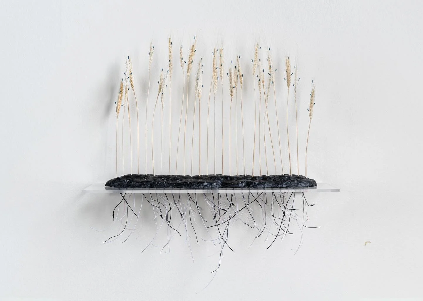 Songs for the Synthetic Dawn, Hannah Newman
📍 Mount Hood Community College Visual Arts Gallery
🗓️ February 2 - 26, 2026
✨Opening reception Thursday, February 6, 11:30am - 1:30pm
⏳ Hours: Monday - Friday, 10am - 4pm
🆓 to the public

#artandaboutpdx