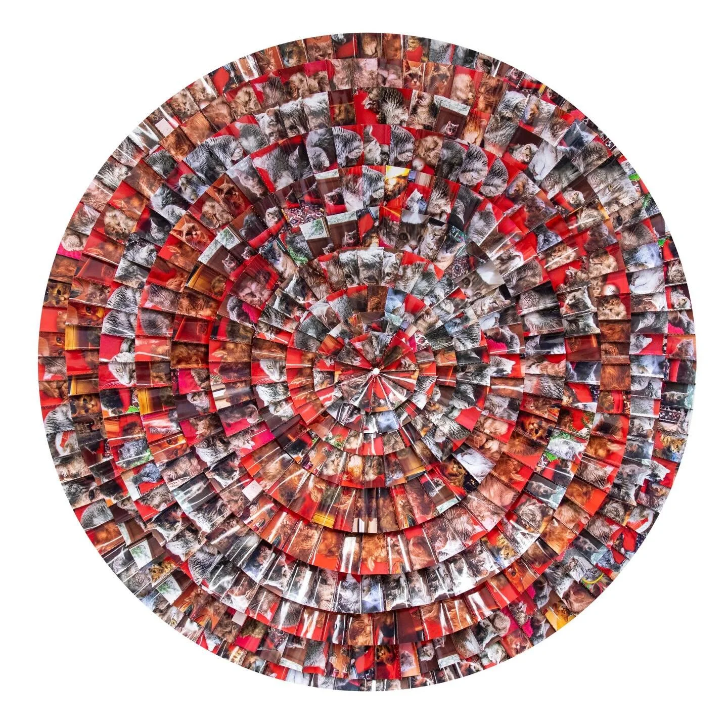 Born REMEMBERING, Garth Amundson &amp; Pierre Gour

📍Well Well Projects, 8371 N Interstate Ave. #1, Portland 
⏳Hours: Sat-Sun 12-5 p.m.
🗓️ April 4 - 26, 2026
✨Opening reception,  First Saturday, April 4,  5-8 pm
🎟️ Free to the public

Born REMEMBE