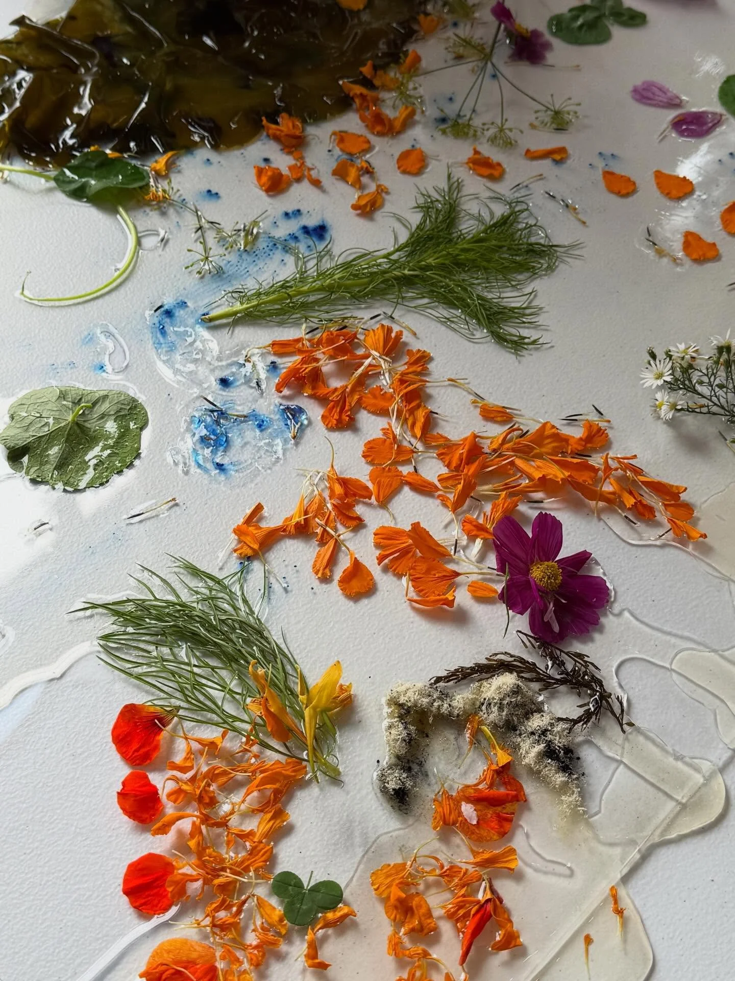 All the spring blooms and the earth coming out of hibernation is reminding us of the bioplastics and fermentation workshop that was a part of PNCA&rsquo;s 2025 Symposium: Beyond Boundaries by Meech Boakye🌀🌿🌼

#artandaboutpdx #onviewpdx #portlandar