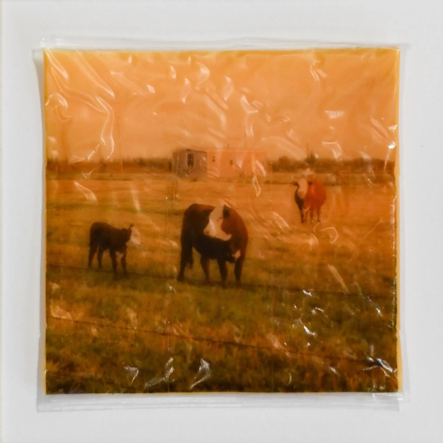 Say Cheese! 📸a solo exhibition by Ash Stone
📍The Old Church Concert Hall 1422 SW 11th Ave
🗓️ April 1 - May 31, 2026
✨Opening reception: Wednesday, April 8th from 6-8pm
⏳ Tuesday-Friday 11 AM - 3 PM
🎟️Free to the public