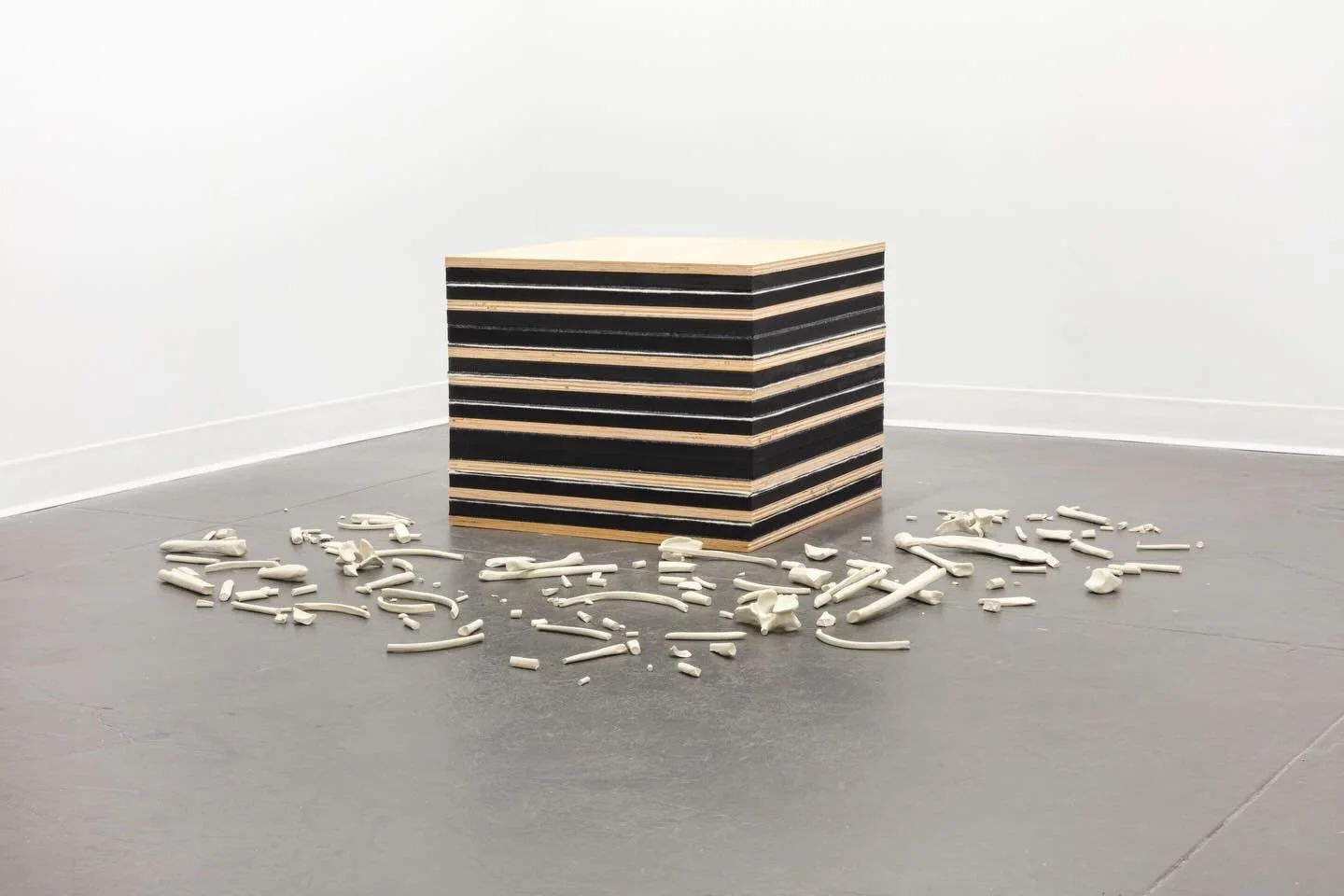 Jennifer Fernandez, Endurance
📍 The Vestibule 5919 15th Ave NW, Seattle, WA 
🗓️ Dates: May 2-31, 2026
✨Opening reception: Saturday, May 2 from 3-5pm
⏳ Hours: Friday &amp; Saturday 12-5pm
🎟️Free to the public

Through sculpture and video, Endurance