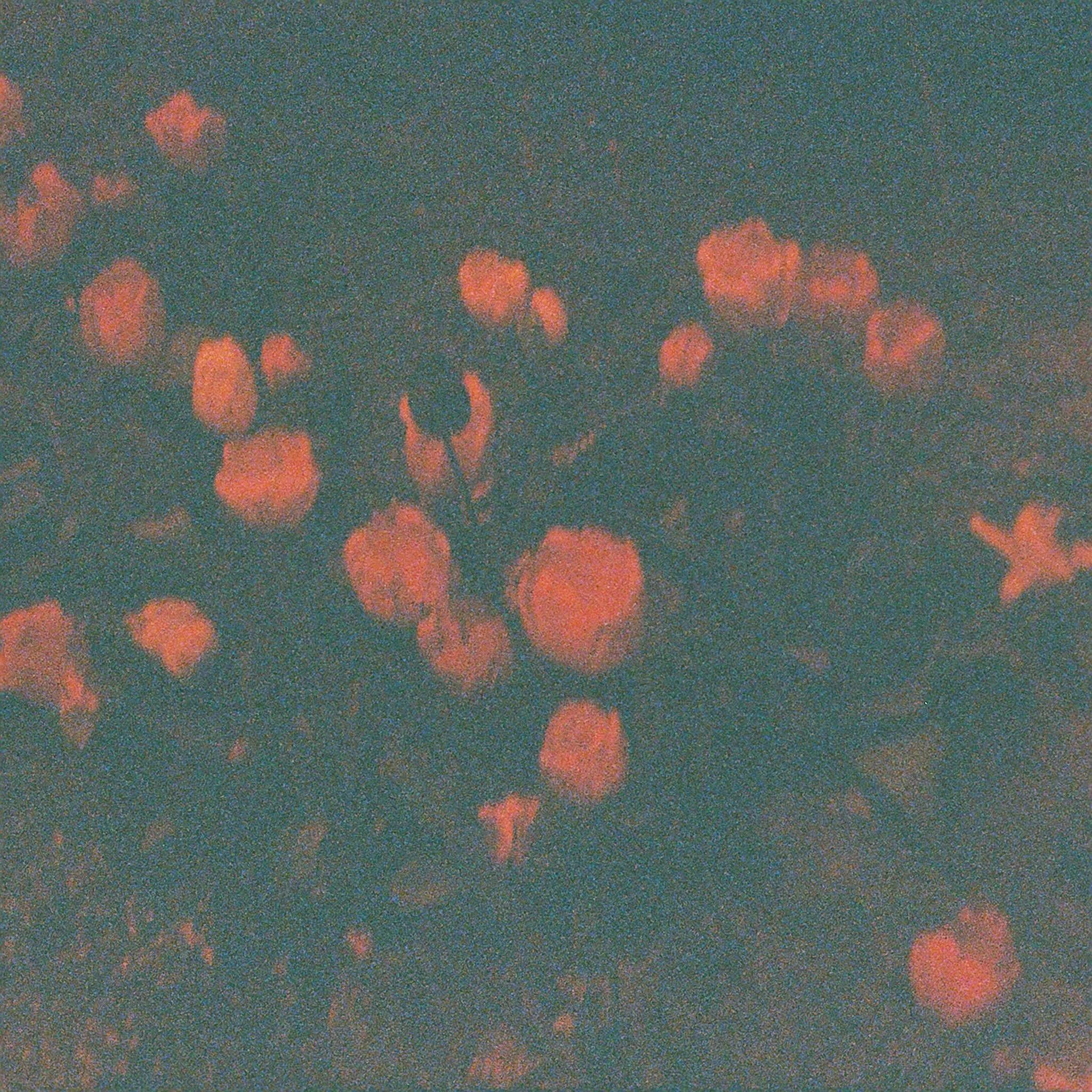 Todd Molinari, Failure Studies
📍 after/time 
🗓️ May 14 - June 6, 2026

Failure Studies is an ongoing photographic project upon which artist Todd Molinari embarked as a sustained engagement with the question of what defines or determines success and
