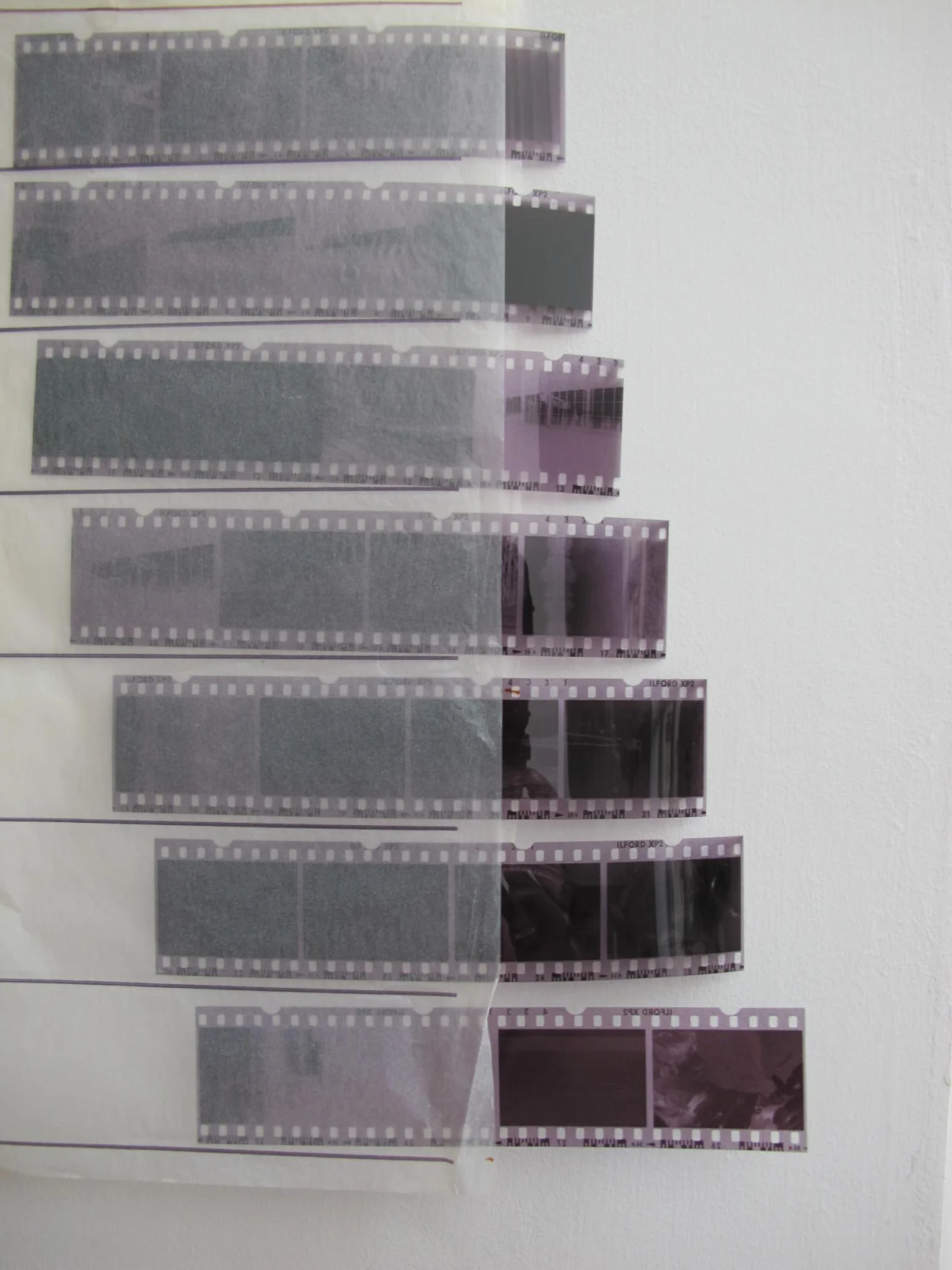 film strips.JPG