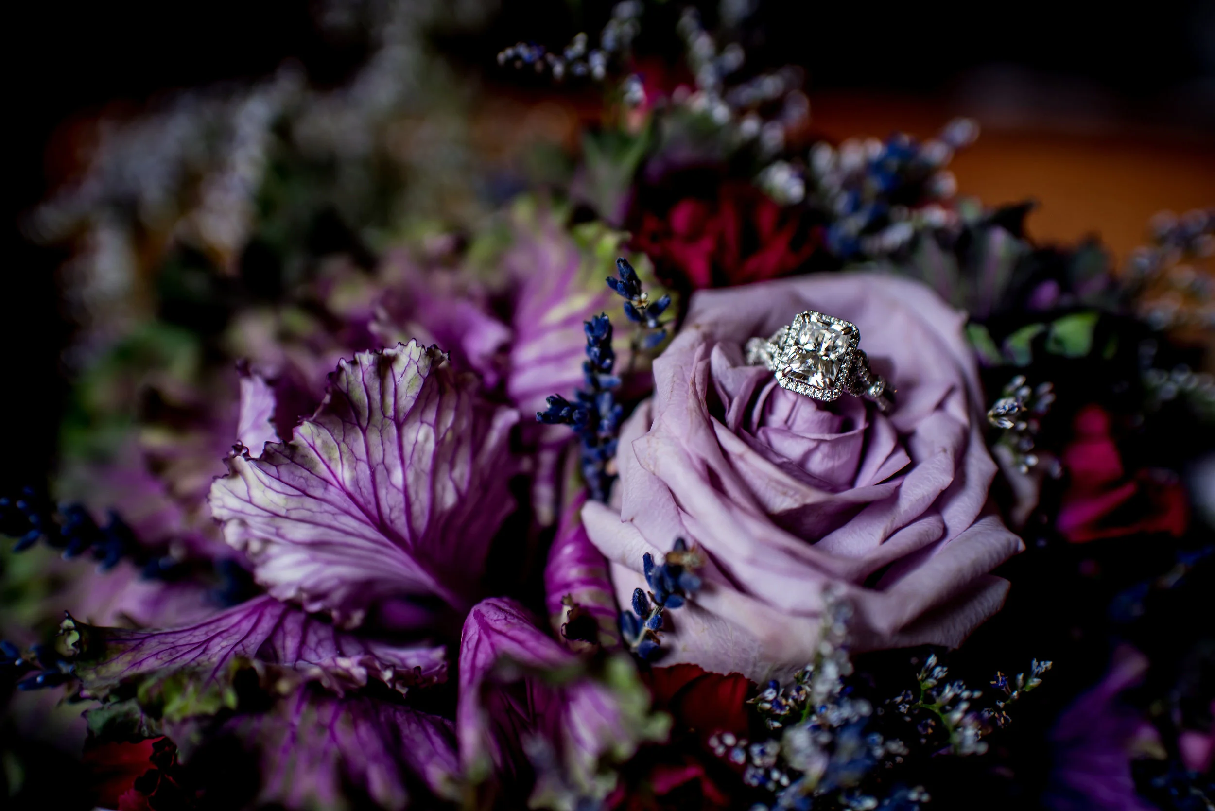 NJ PHOTOGRAPHER | SPRING LAKE PHOTOGRAPHER | SOUTH NJ JERSEY WEDDING PHOTOGRAPHER | THE KNOT | WEDDING WIRE | CENTRAL JERSEY WEDDING PHOTOGRAPHER | NORTH NJ JERSEY WEDDING PHOTOGRAPHER