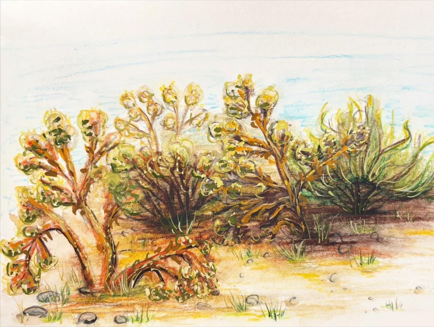 Small Joshua Trees