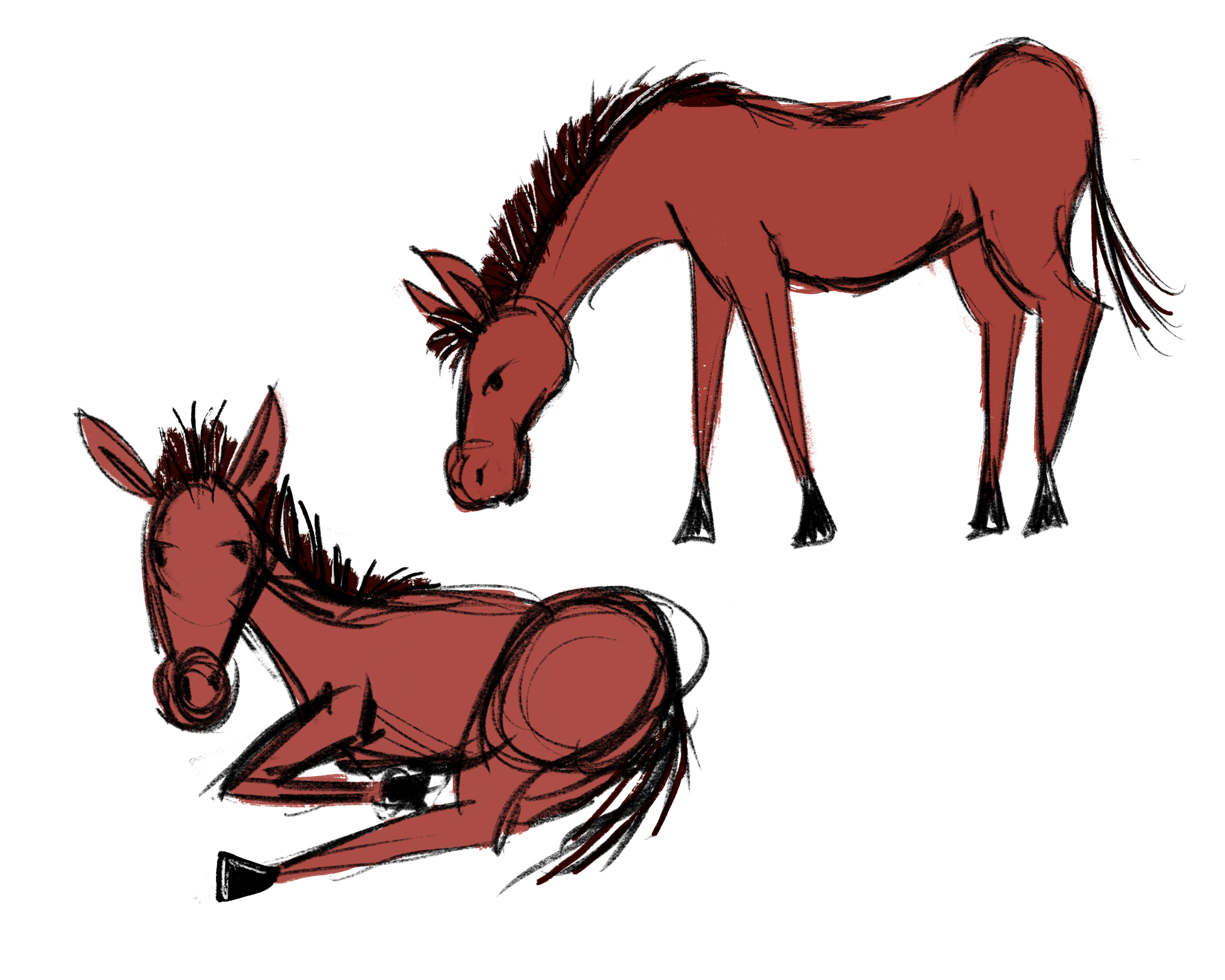 Takis The Donkey Character Design