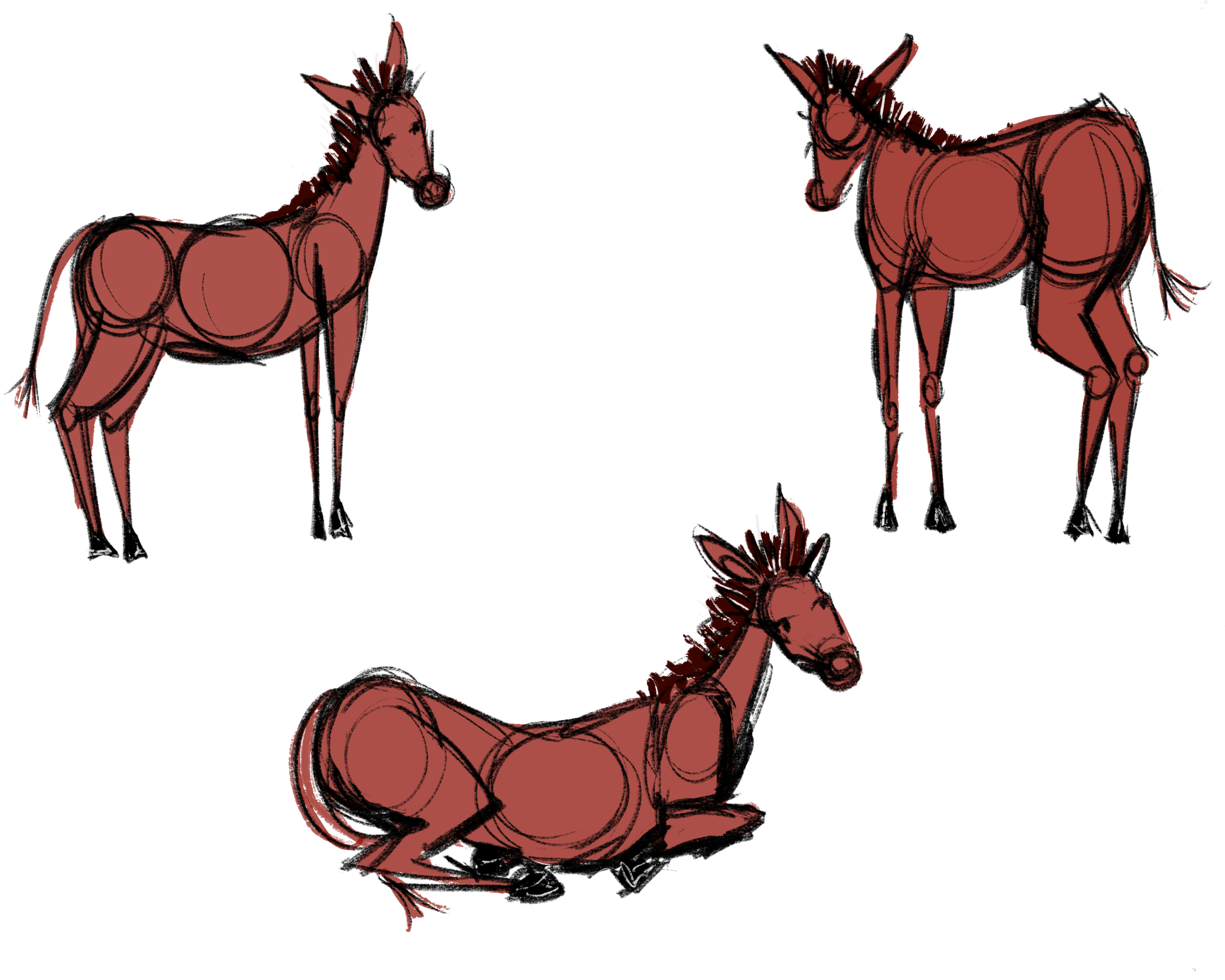 Takis The Donkey Character Design