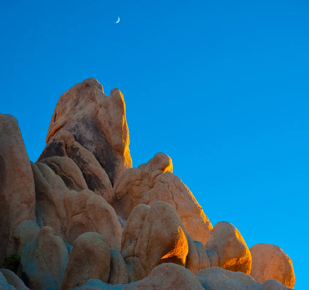Moonrise - Joshua Tree National Park