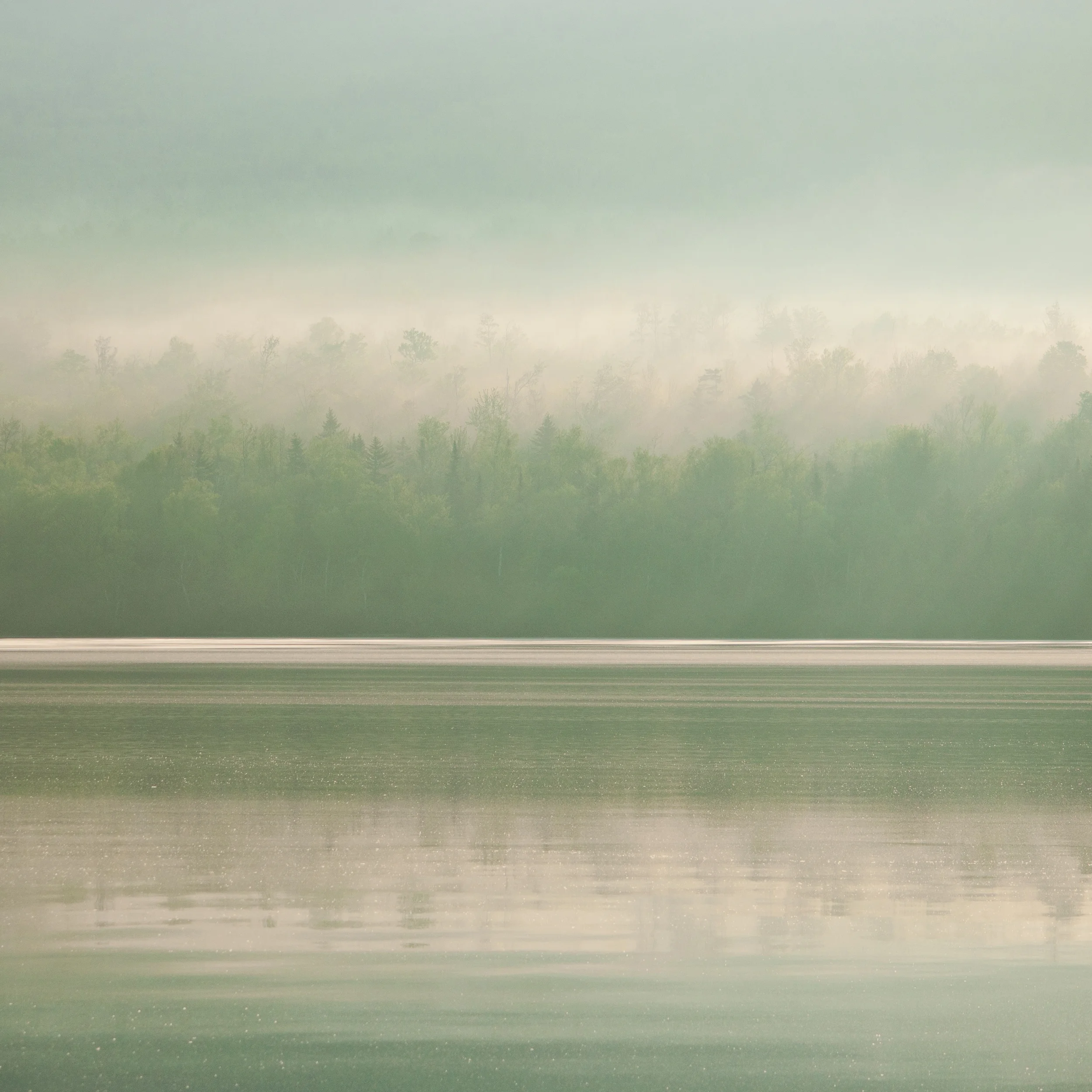 Quiet Fog - First Roach Pond, Maine