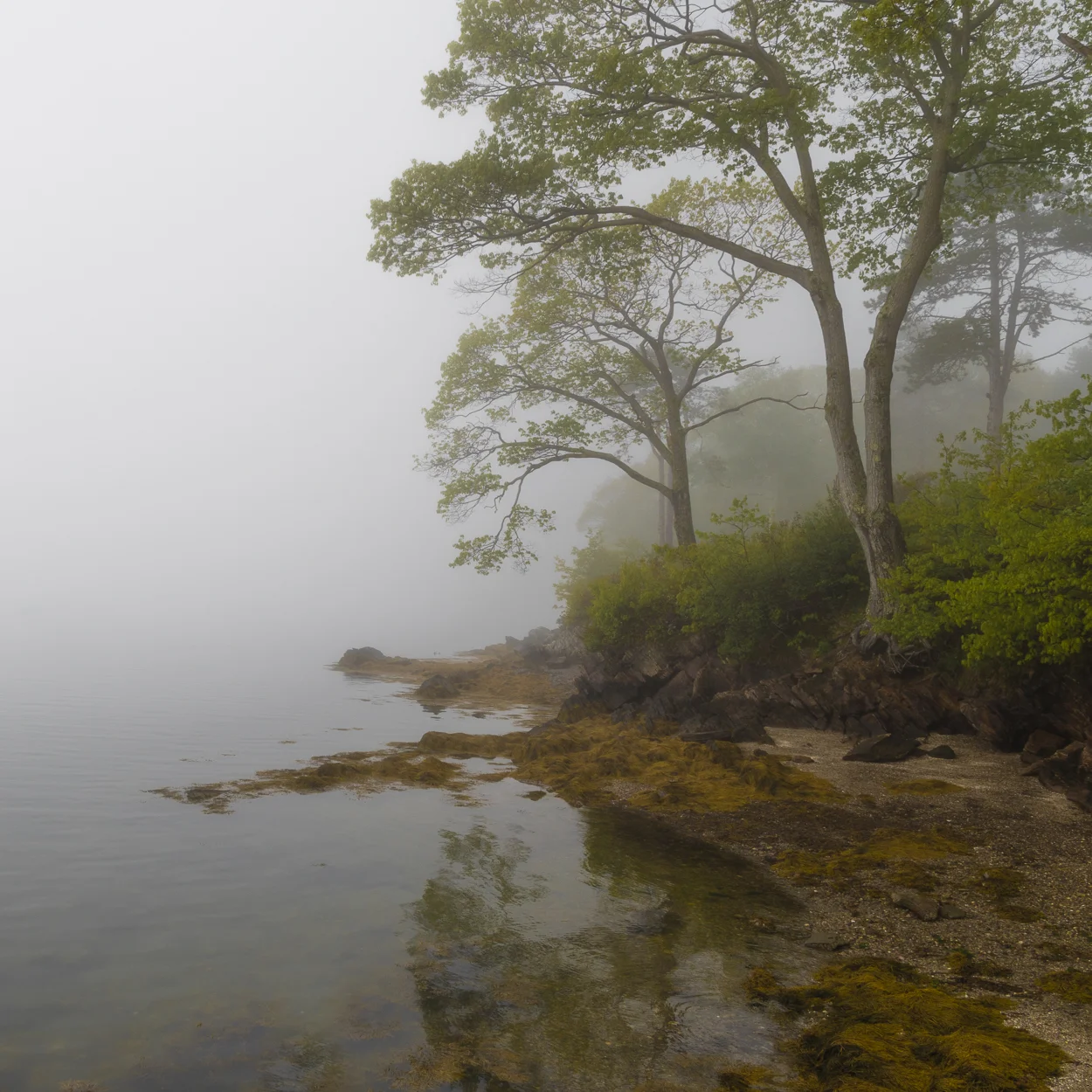Chebeague Island Ferry Landing, Maine