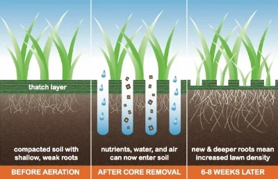 core-diagram.jpg