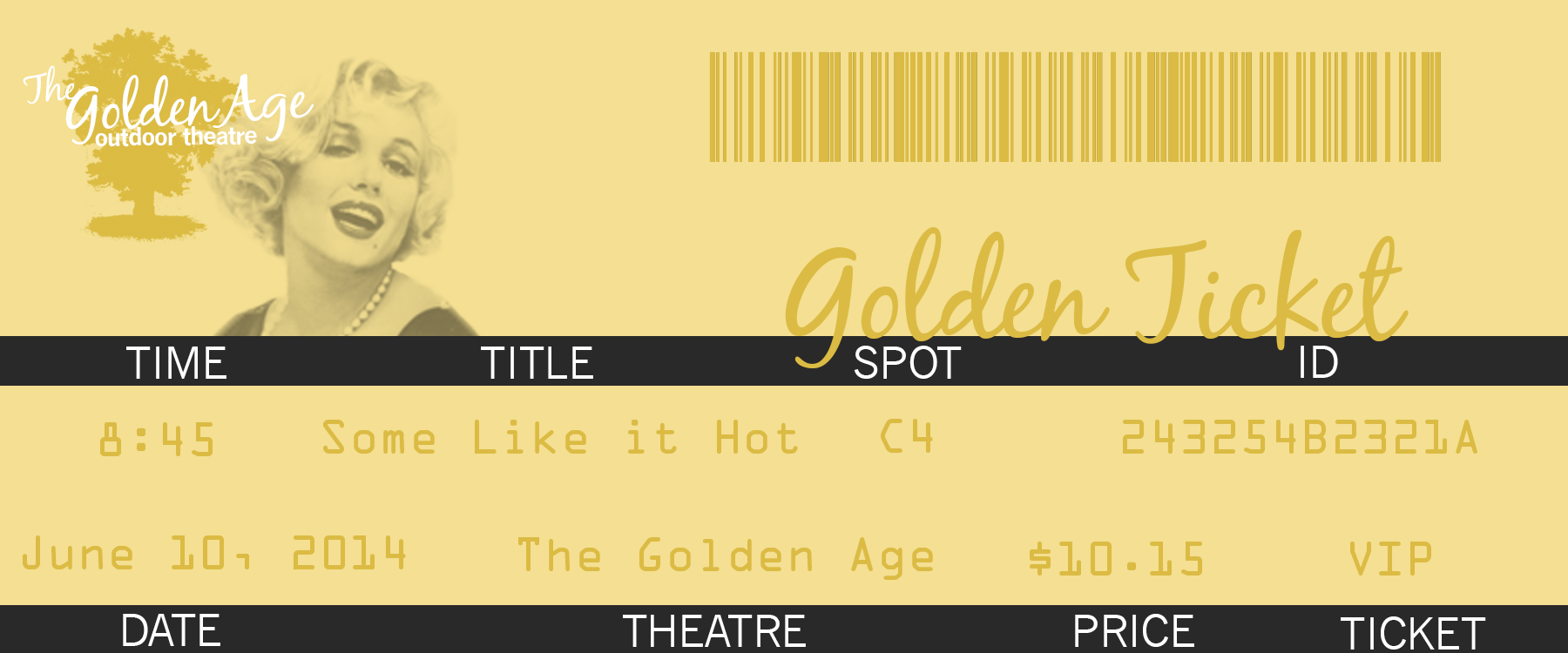 ticketVIP.png