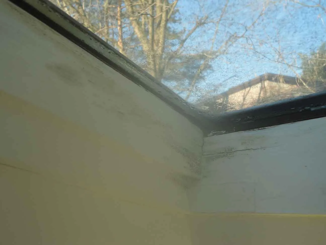 Inspection: skylight leaks and mold is found.