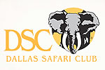 Logo - DSC.jpg