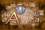 Logo - Tracks Across Africa.jpg