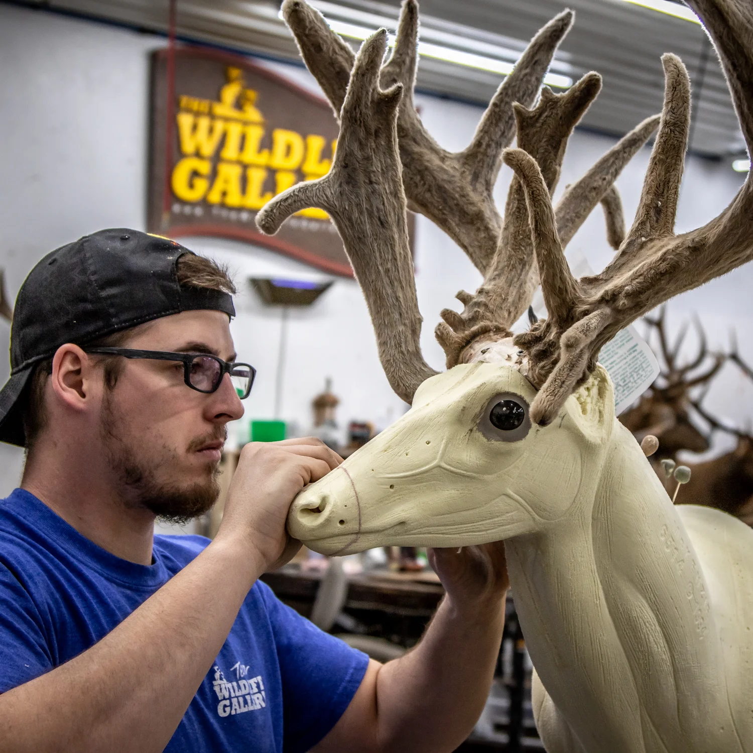 The Wildlife Gallery Custom Taxidermy Studio The Team