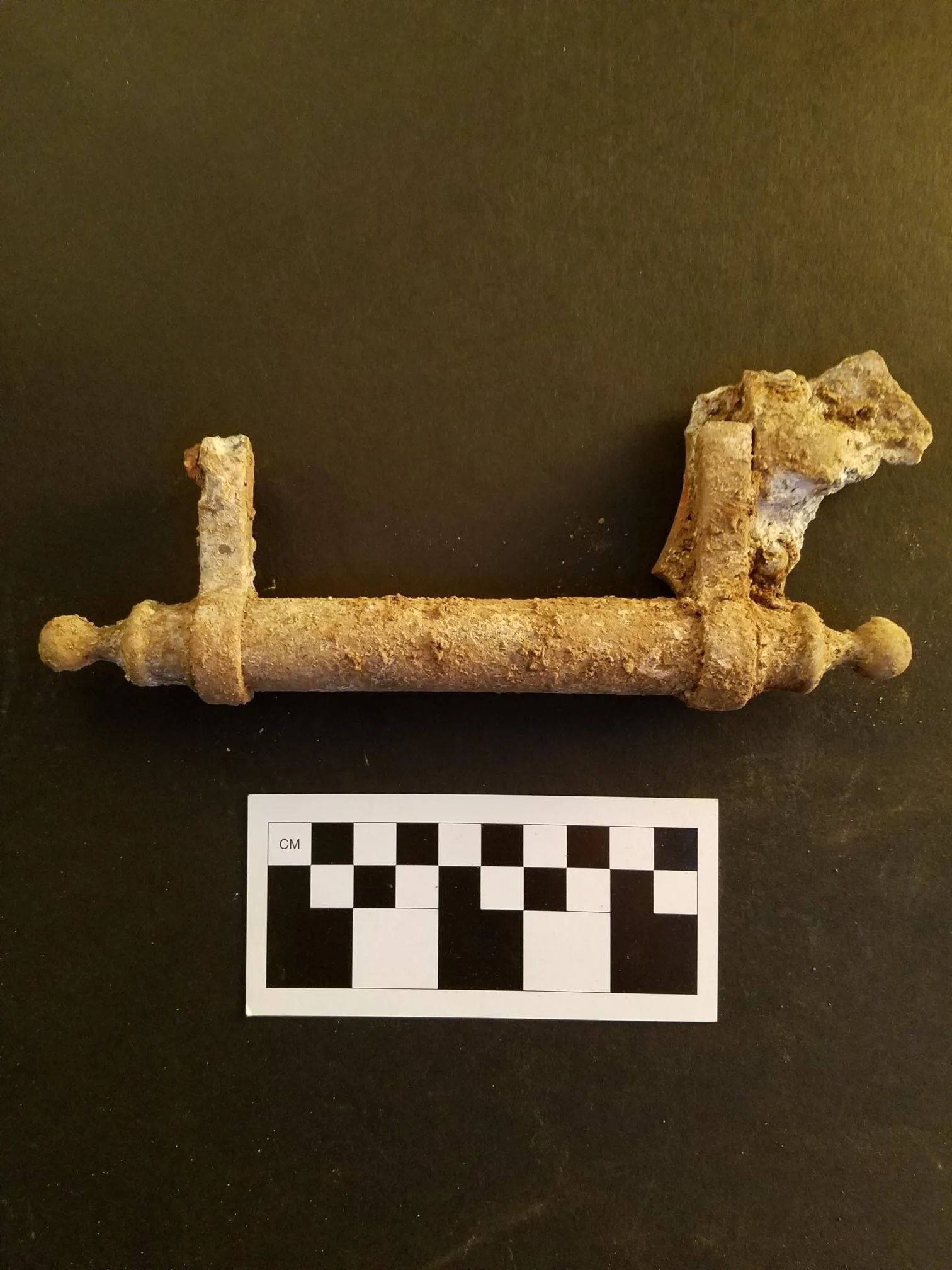Coffin handle