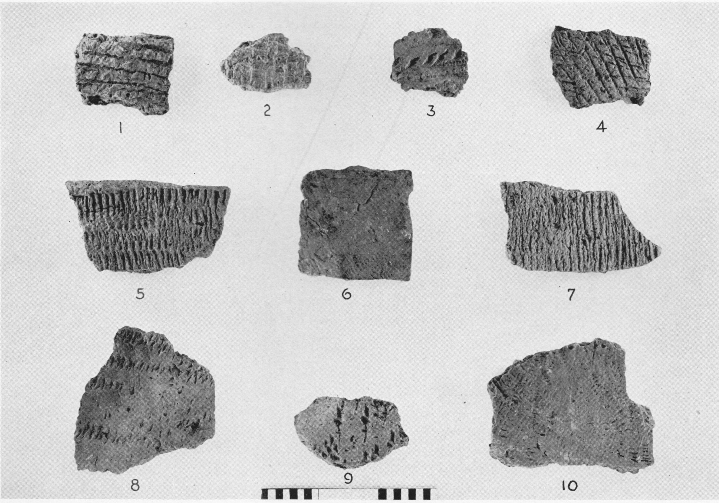 Figure 5.jpg