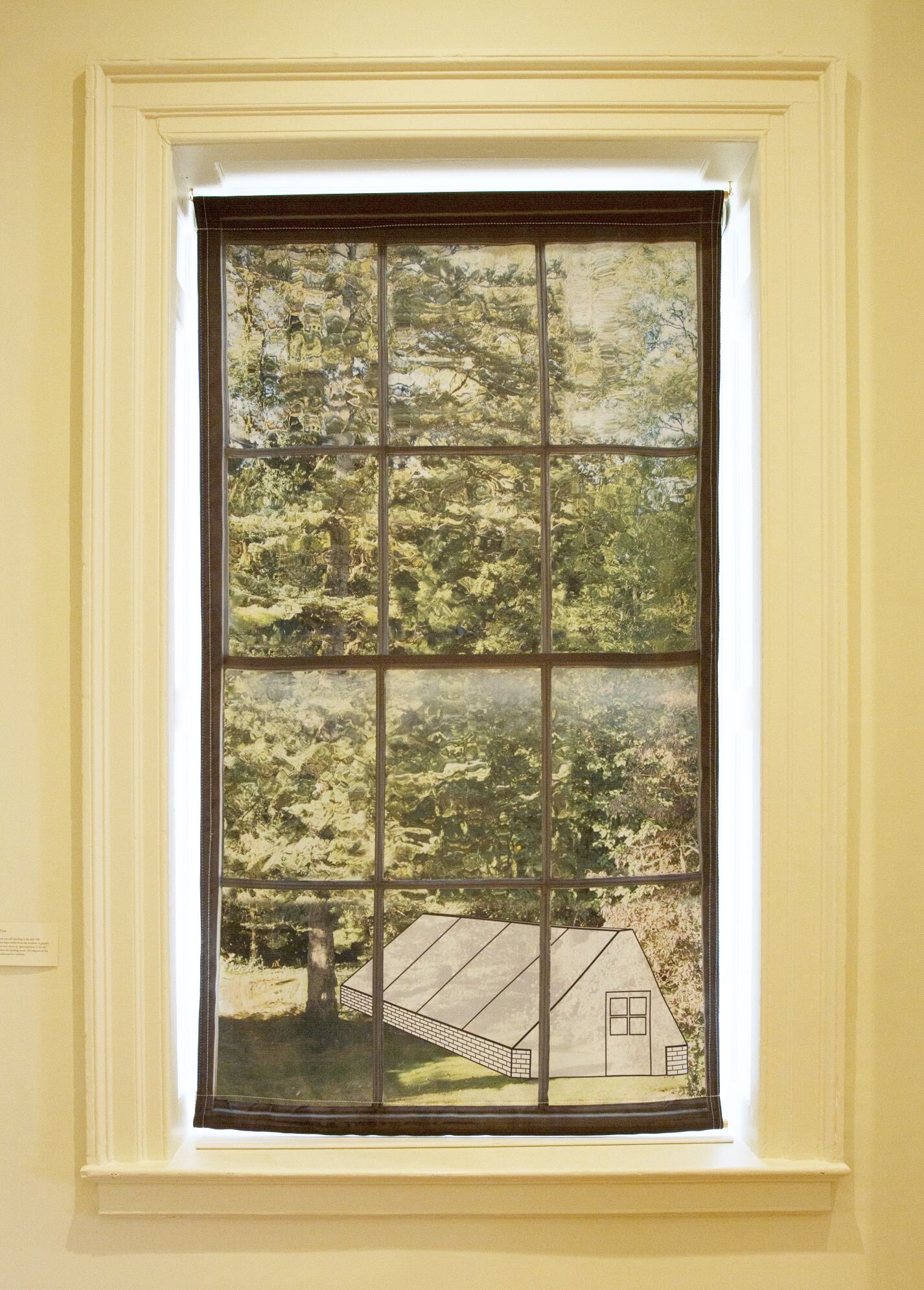 Greenhouse through Window.jpg